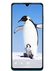 Ремонт Ремонт  Huawei P30 Lite  с выездом мастера