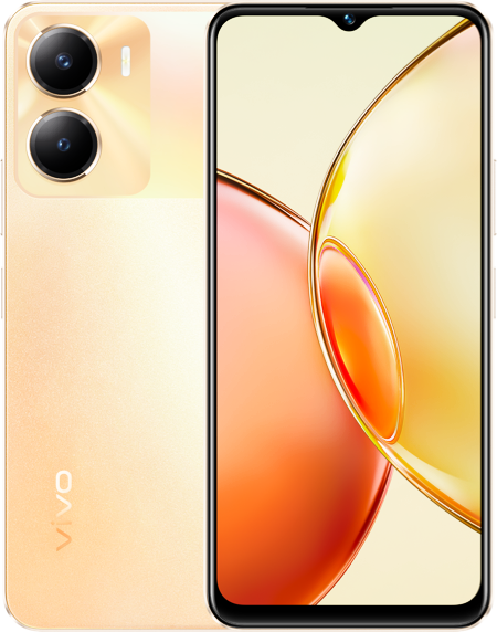 Ремонт Ремонт  Vivo Y35m 5G  с выездом мастера